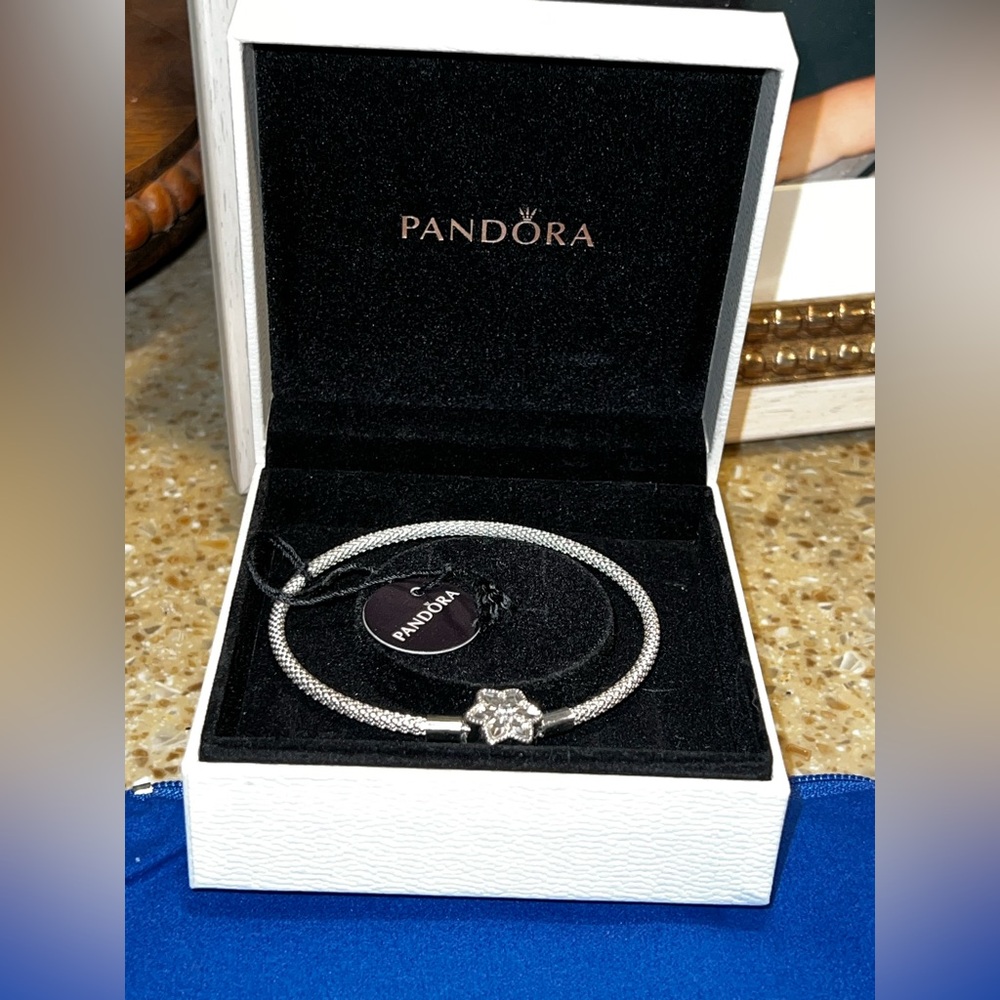 PANDORA Authentic Shine Bright Star Snowflake SS 925 ALE Mesh Bracelet NWT & Box